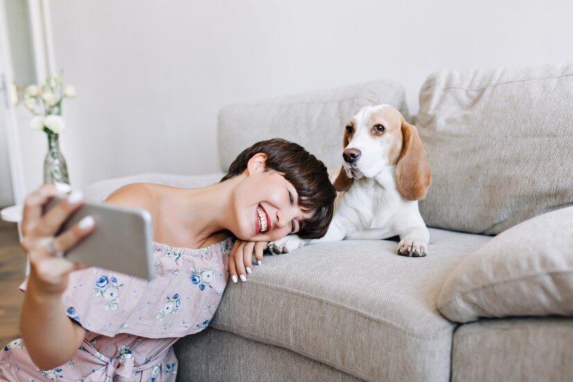 O Plano de Saúde para Pets é ideal para seu animal de estimação com os novos planos e com rede credenciada